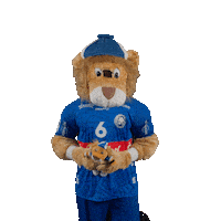 Handball Mascot Sticker by bergischerhc06