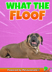 Henlo Hooman Fren GIF by PetJuvenate - PJ