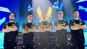 Esports Cs2 GIF by BLAST