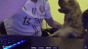 Apex Counterstrike GIF by BLAST