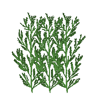 Grass Sticker