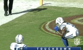 2018 Nfl Football GIF by NFL