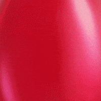 Mts Vaskrs GIF by sportmts