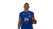 Handball-Bundesliga Sport Sticker by LIQUI MOLY HBL