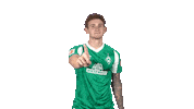 Josh Sargent Bundesliga Sticker by SV Werder Bremen
