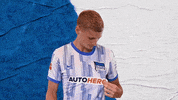 Bundesliga Berlin GIF by Hertha BSC