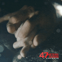 47 Meters GIF by 47 Meters Down Uncaged