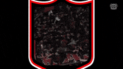 Ticket Werkself GIF by Bayer 04 Leverkusen