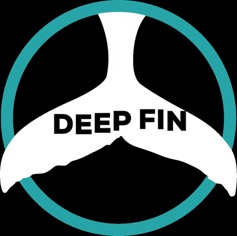 deepfintenerife giphyupload dive diving tenerife GIF