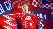 Daniel GIF by HC Dynamo Pardubice