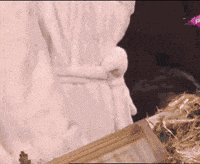 Ceca Krsti GIF