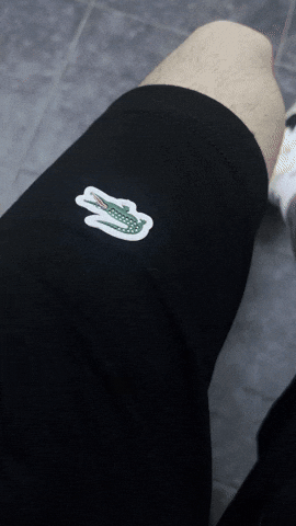 maximenoza giphyupload GIF