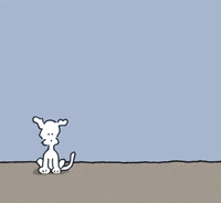 GIF by Chippy the Dog