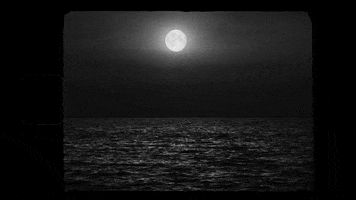 Dragula GIF by BouletBrothersDragula