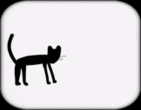 Cats And Dogs Fighting GIF by Barbara Pozzi