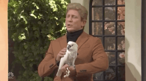 GIF by Saturday Night Live