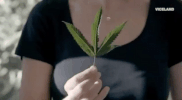 viceland GIF by Bong Appetit