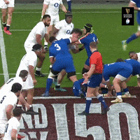 France Rugby GIF by Guinness Six Nations