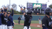 Baseball Anteaters GIF by UCI Athletics