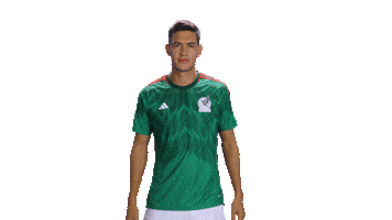 World Cup Futbol Sticker by MiSelecciónMX