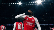 Champions League Football GIF