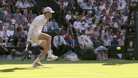 Jannik Sinner GIF by Wimbledon