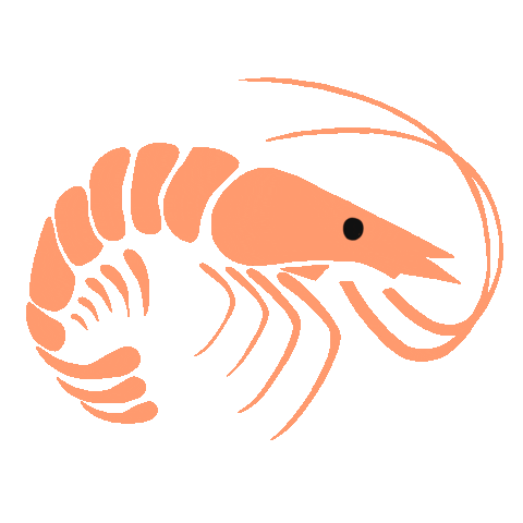 hannah24nicole ai vacation florida shrimp Sticker
