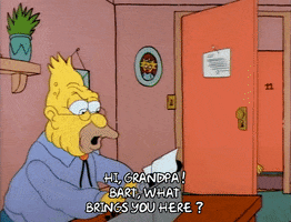 Season 1 GIF by The Simpsons