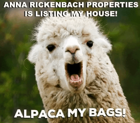 ARPremax4000 giphyupload realestate alpaca justlisted GIF