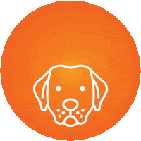 Dogs Puppy Sticker by Montego Pet Nutrition