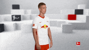 Posing Line Up GIF by Bundesliga
