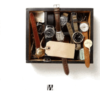 fashion GIF by Wantering