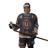 Uhk Sticker by UNIted HK