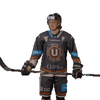 Uhk Holub Sticker by UNIted HK