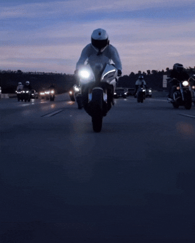 Rollers GIF