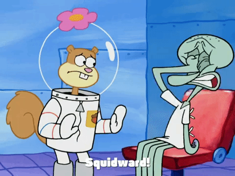 season 4 GIF by SpongeBob SquarePants