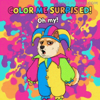 Oh My Wow GIF by Doge Pound