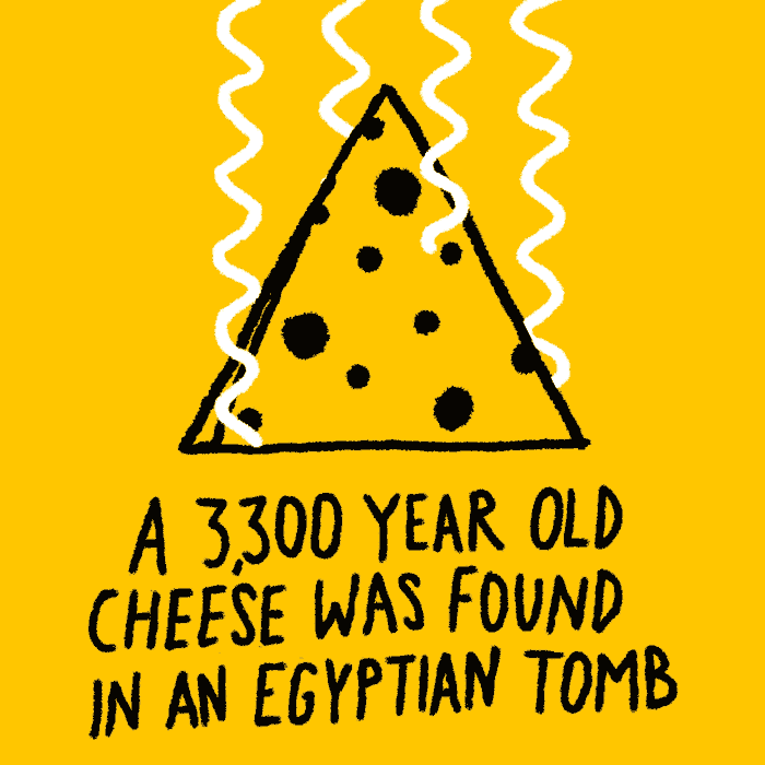cheese omg GIF by Learn Something Every Day