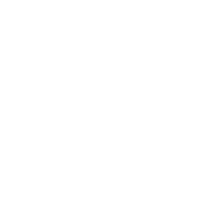 New Year Feliz Ano Nuevo Sticker