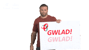 Jamie Roberts Reaction Sticker by PrincipalityBS