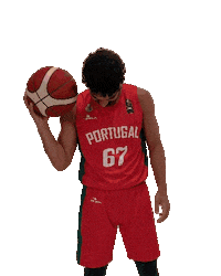 Fpb Sticker by FPBasquetebol