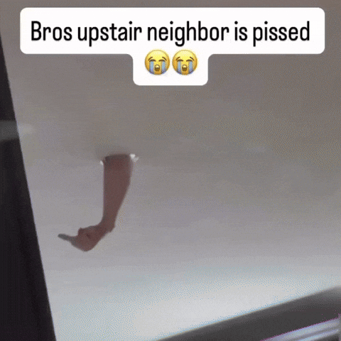 Upstairs Neighbor GIF by Respective
