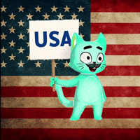 United States Usa GIF by Hero Galaxy NFT