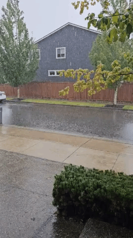Heavy Downpours Soak Bothell, Washington