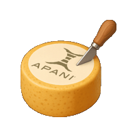 Apani Life Sticker by APANI