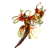 Hair Flower Sticker by Anarkhìa Bio
