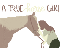 Horse And Rider Sticker by Molly Virginia Morris Photography