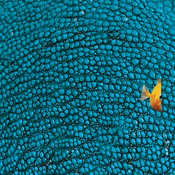 Kids Sea GIF by Apply