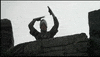 monty python lol GIF