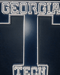 Georgia Tech Baseball GIF by Georgia Tech Yellow Jackets